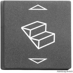 Steckdosen & Schalter