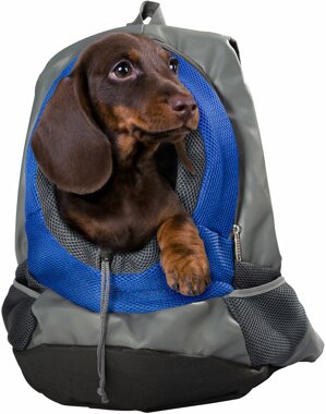 Rucksack fr Hunde