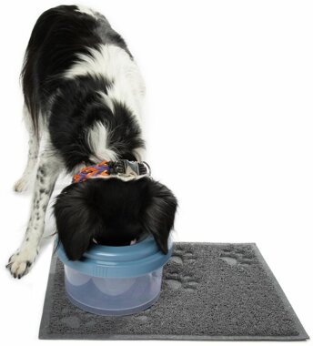 TiltyBowl Hundenapf TiltyBowl Hundenapf