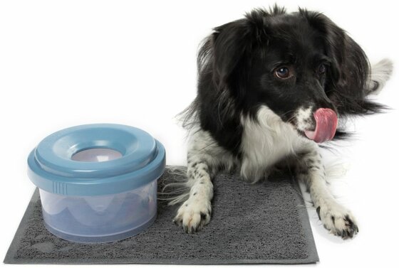TiltyBowl Hundenapf TiltyBowl Hundenapf