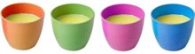 Citronella Kerze S mit Citronella-l