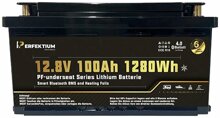 Lithium Batterie PF-Underseat-12 mit Heizung, 100 Ah